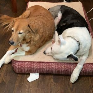 Meet your Posher, Valerie